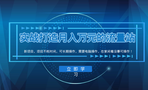 张子豪流量站项目：实战打造月入万元的流量站的项目（视频课程完结）