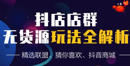 抖音无货源店群超级攻略：不发视频，不开直播，只玩转店铺自身流量