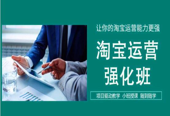 淘宝运营强化班 淘宝运营VIP课程合集