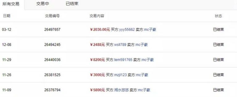 张子豪流量站项目:实战打造月入万元的流量站的项目(视频课程完结)