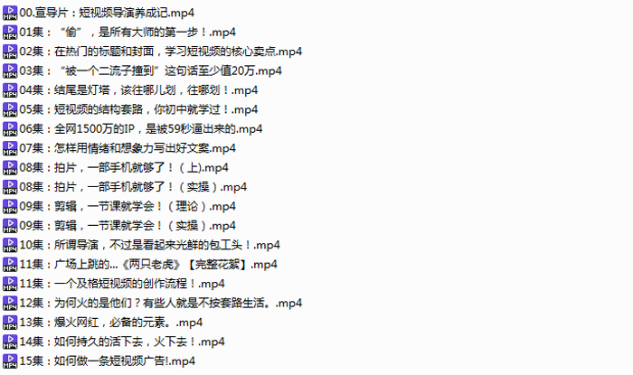 短视频创作课15集短视频导演养成记【视频课程】