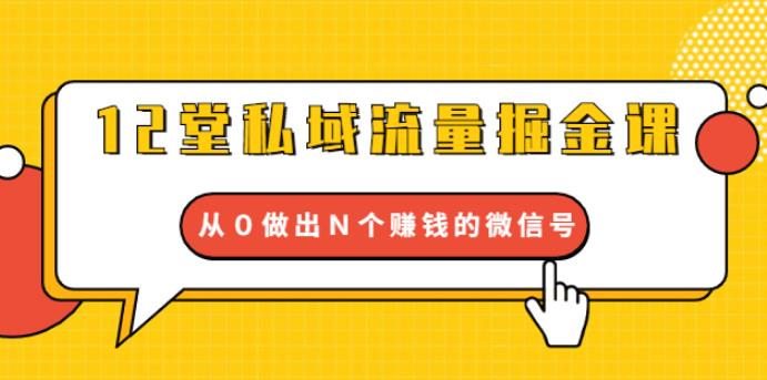 12 堂私域流量掘金课：打通私域４大关卡，从 0 做出 N 个赚钱的微信号【完结】