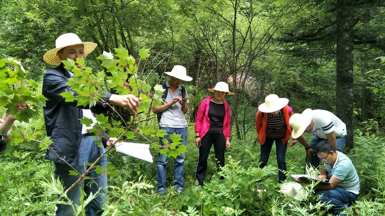 分享一款免费实用的野外调查巡检户外旅行外业作业地图数据采集软件