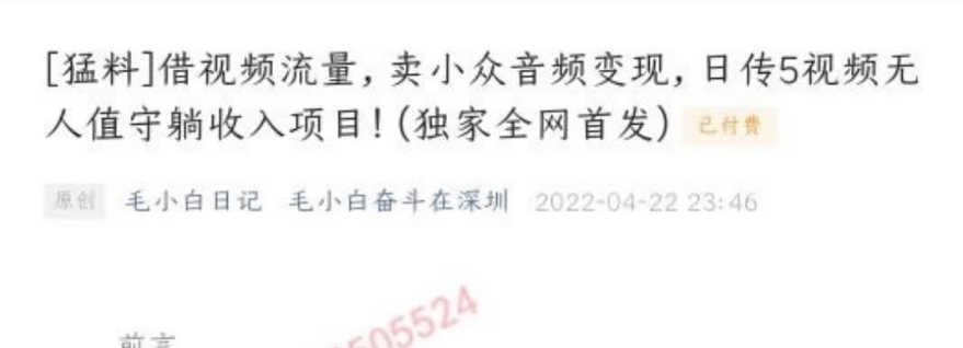 毛小白·借视频流量，卖小众音频变现，日传5视频无人值守躺赚项目
