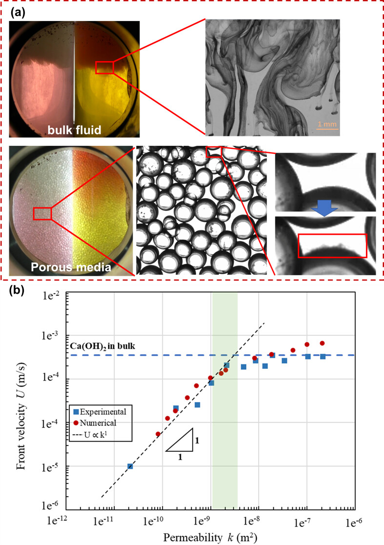(a) experimental images in bulk and porous media with corresponding microscopic observations; (b) U-k correlation curves obtained from experiments and numerical study.