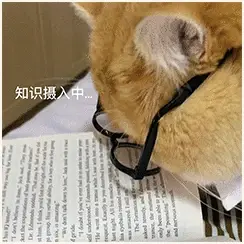 read-normal-img