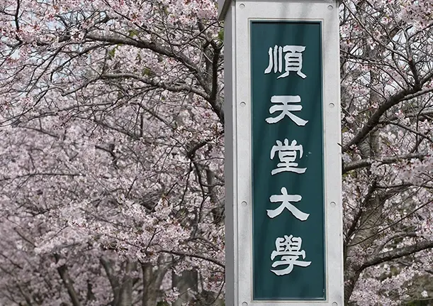 read-normal-img